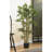 Faux Bamboo Tree in Pot-2131120987