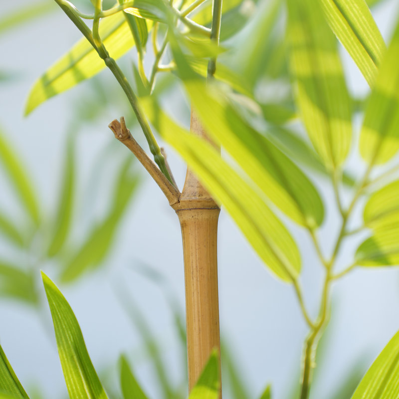 Arbre de bambou artificiel 7 pi Adcock, paquet de 36 décorations pour clôture d'intimité, 36, H 84 po x l 15 po x P 15 po