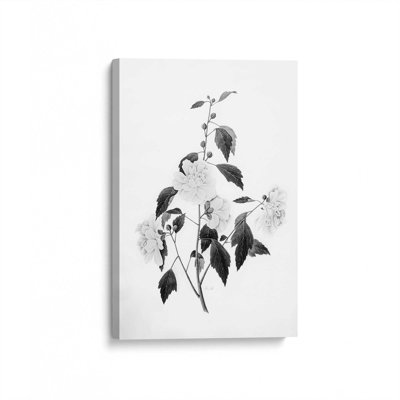 «Botanical III» par Deborah Revell, reproduction d'art sur toile