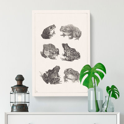 Frogs And Toads by Theo Van Hoytema - Wrapped Canvas