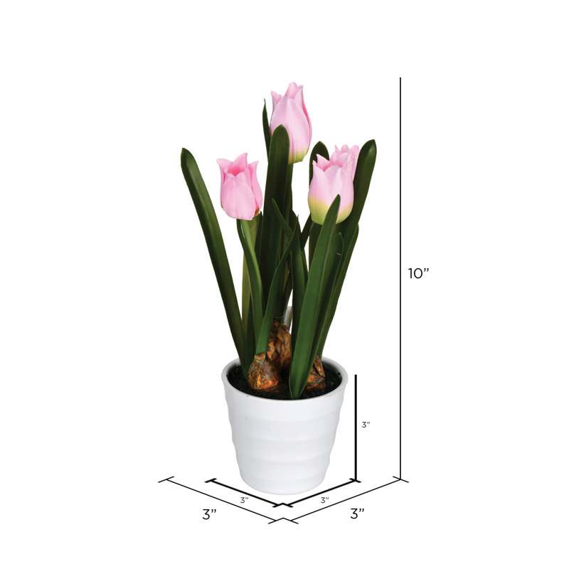Tulip Arrangement in Pot