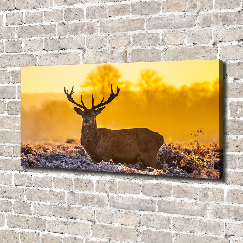 Deer Sunrise - Wrapped Canvas Print