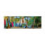 Art sur toile Jack Island-704514086