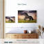 Cheval frison galopant Brampt-107863697