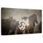 Troupeau Bramalo Appaloosa-107860167