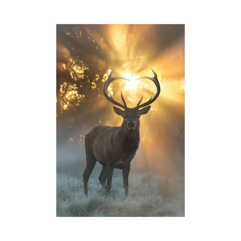 Heart Shaped Antlers Flare by Max Ellis - Wrapped Canvas Print, 66.04 cm H x 45.72 cm W