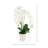 Orchid Arrangement in Fluted Vase