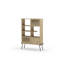 Kellson 140.7cm H x 98.3cm W Standard Bookcase