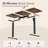 Putnam Height Adjustable Standing Desks-194064654-194064658