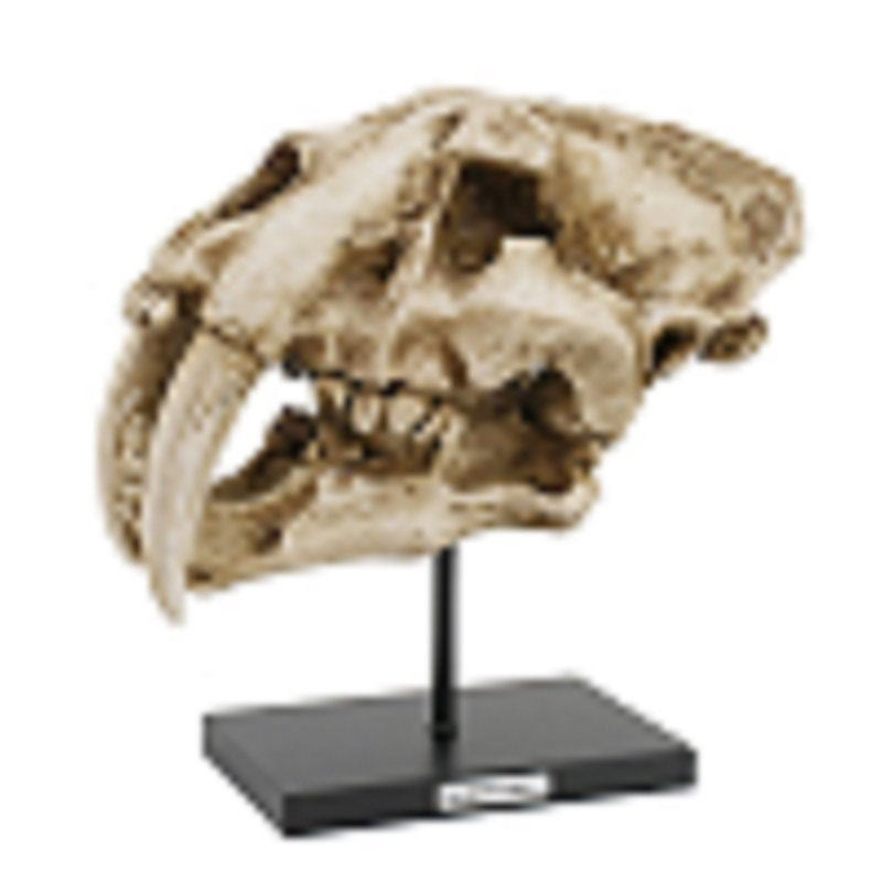 Anat Animals Figurines & Sculptures