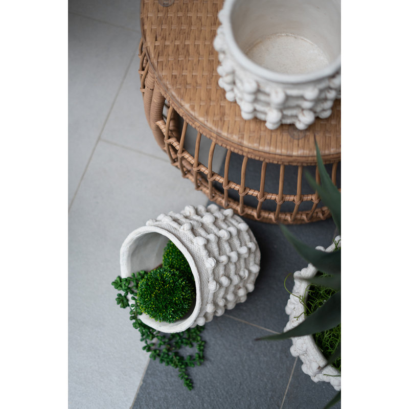 Mosley 2-Piece Planter Set, 8.5" H x 8.5" W x 6.9" D