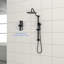 Système de douche double Lsi 10 po avec douche à main 5 fonctions, barre coulissante combinée 26,3 po, tuyau en acier inoxydable, fixation murale, métal noir mat