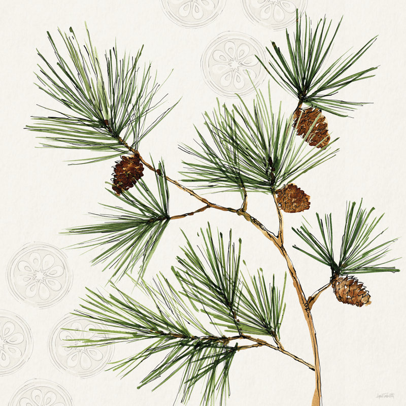 «Winter Adornment III» par Anne Tavoletti, H 36 po x l 36 po, Imprimé avec cadre blanc, Non