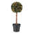 48' Lighted Pine Christmas Tree