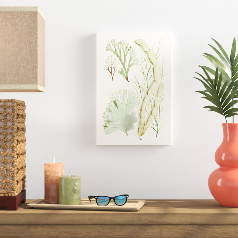 Antique Seaweed Composition I by Vision Studio - Painting Print, 46cm H x 30cm W, Wrapped Canvas