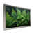 Silver Single Picture Framed