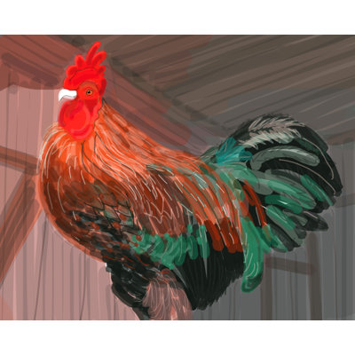 Rooster Print by Evan Sklar