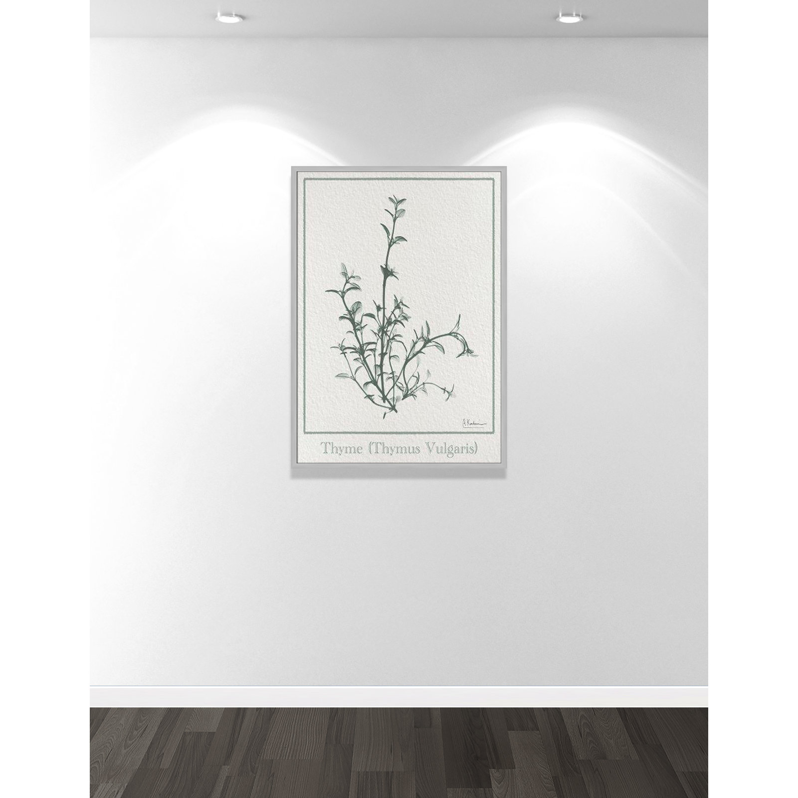 Jeanette "Thymus Vulgaris" Print, Matte Silver Framed Paper, 41.5" H x 29.5" W x 1.25" D