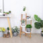 Abdikarin Plant Stand