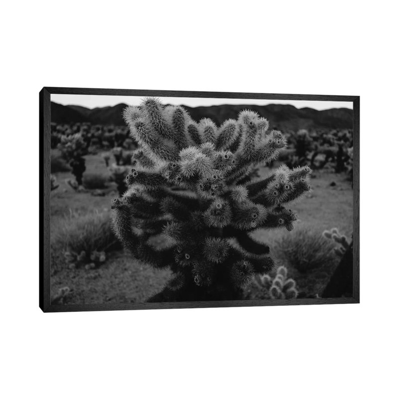 Cholla Cactus Garden XIII by Bethany Young - Print on Canvas, Black Framed, 101.6cm H x 152.4cm W x 3.81cm D