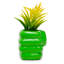6 po Hulk Smash Plant