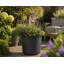 Ashley Round Egg Planter, Concrete Effect, Indoor and Outdoor Round Plant Pot with Drainage Hole-599791369-599791373