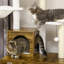 Arbre à chat 54 "Brixham