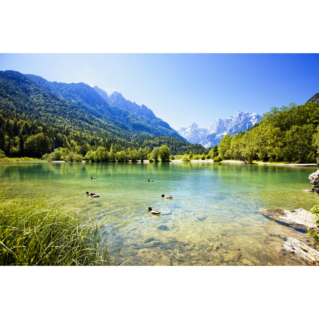 Enten schwimmen im Bergsee von Mbbirdy - Leinwandbild