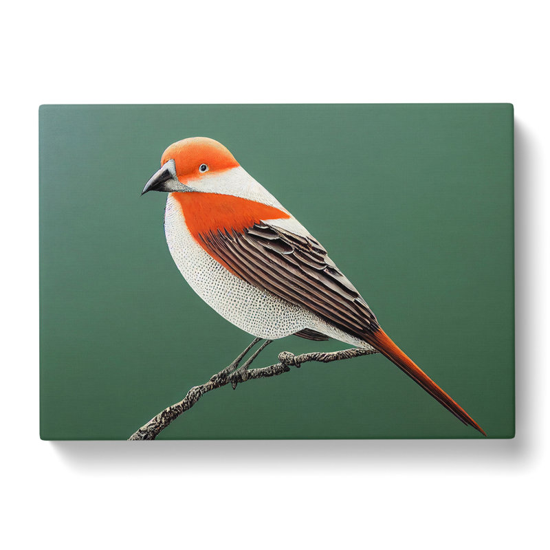 Engaging Bird - Wrapped Canvas, 35cm H x 50cm W x 3cm D