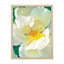 Art mural floral pastel blanc magnolia, impressions botaniques décoratives pour salon, encadré sur papier-93487735-93487734