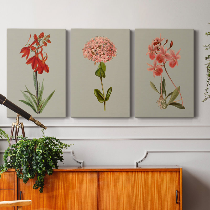 " Botanical Array VII " 3 - Pieces, 12" H x 24" W x 1" D