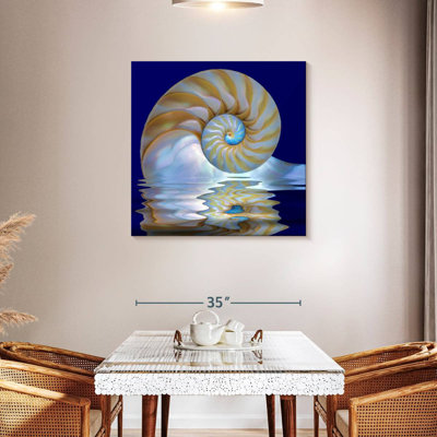 Aletra Nautilus Shell On Water