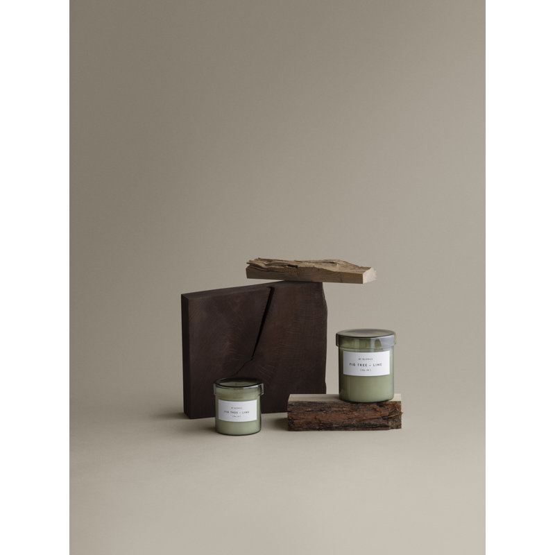 VALOA Scented Candle in Glass Container - Ylang-Ylang Fragrance - Small, Agave Green, 5.7