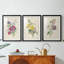 Antique Garden Bouquet I - Impression personnalisée de qualité supérieure avec cadre mat - 3 pièces-629484581