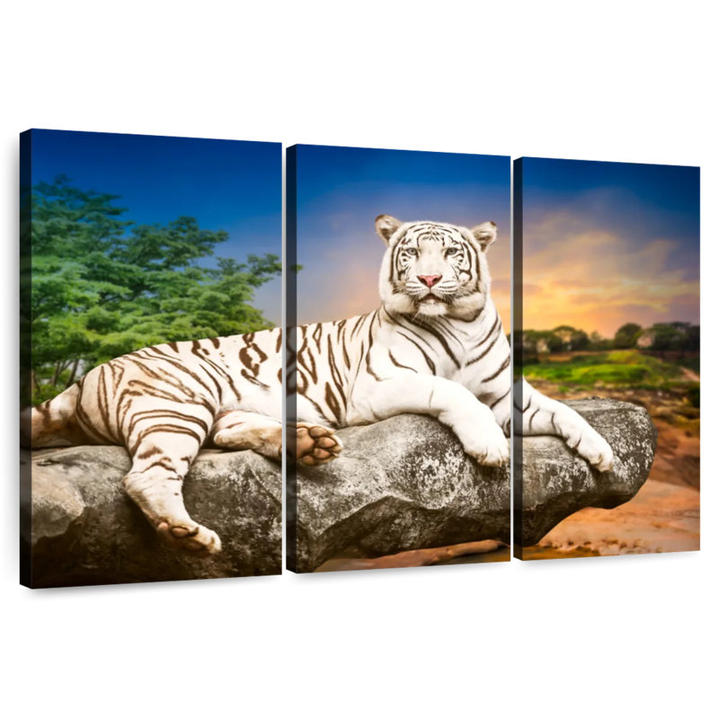 Brampt White Bengal Tiger, 48" H x 74" W