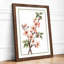Flowering Branch Botanical - Framed Print-15216123-15216127