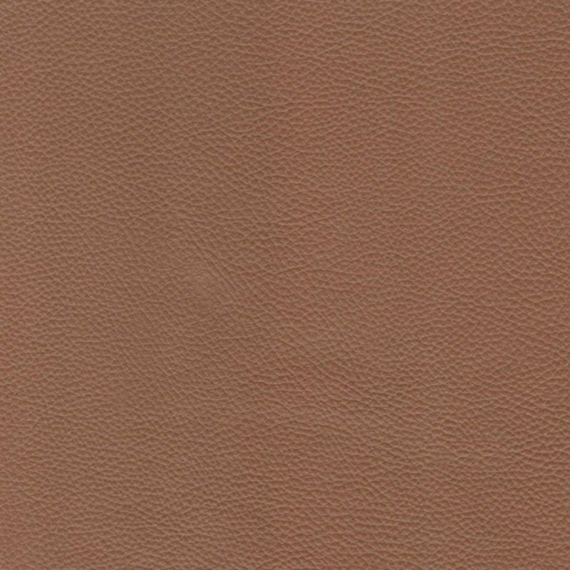 Modern Leather Sofa