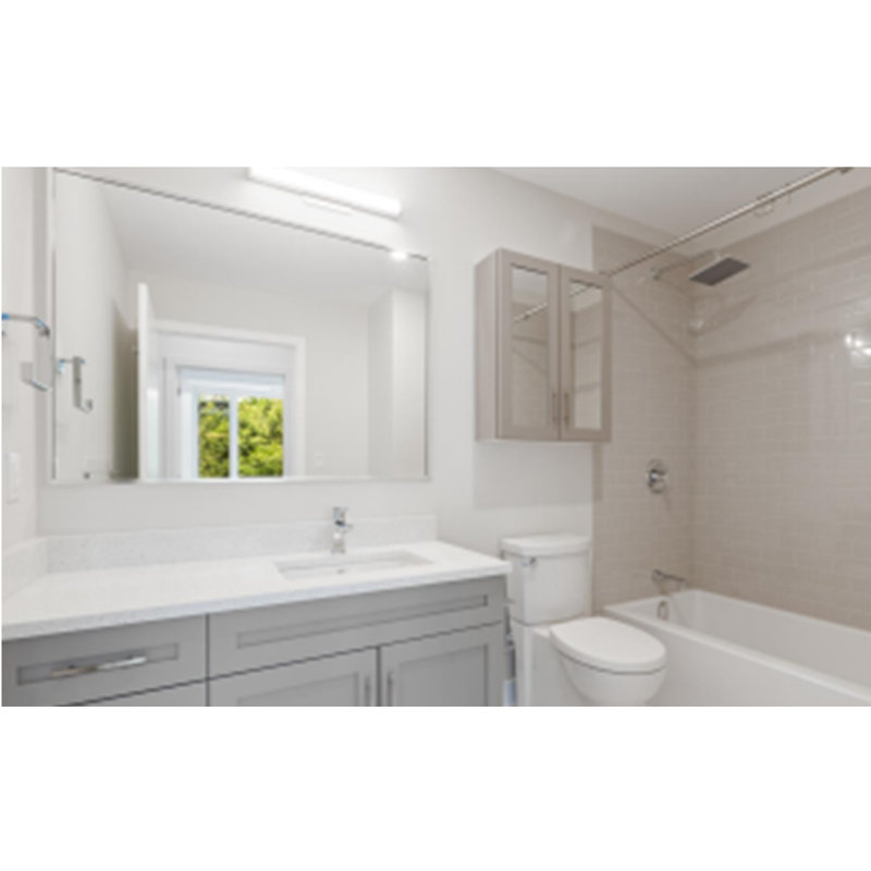 Applique murale 15W à DEL 3000K-40000K-5000K 1050LM AC120V nickel brossé