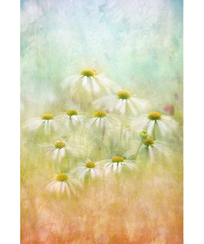 Wrapped Canvas Print, 60.96cm H x 91.44cm W