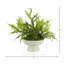 Mountain Fern and Moss Arrangement