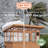 Backyard Discovery Poppy 11' x 7' Cedar Wood and Polycarbonate Walk-In Outdoor Greenhouse Kit with PowerPort