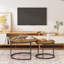 Ensemble de 2 tables basses gigognes