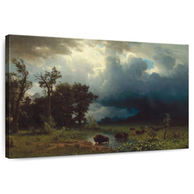 Alvord Buffalo Trail - La tempête imminente