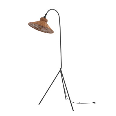 Plumeria 63.75'' Iron Floor Lamp