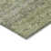 Machine Washable Indoor/Outdoor Cicel ACN1174 Aloe Rug