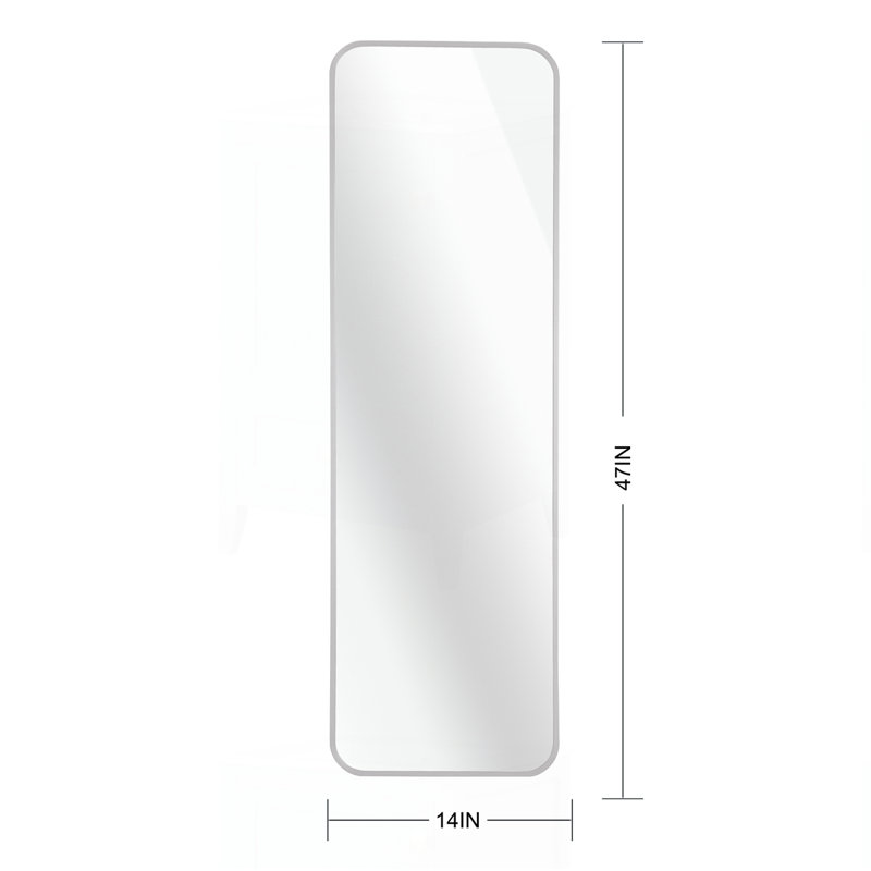 47 X 14IN Door Mirror, Silver