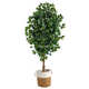72'' Faux Ficus Tree in Burlap, Cotton Planter