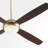Laderrian 60'' Ceiling Fan with LED Lights-1609006229