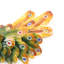 Colourful Peacock Wall Lamp