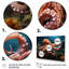 Corail Octopus Serene submersion II - pieuvre, art mural-1585959899-1585959900